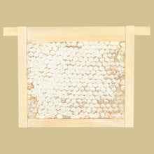 Load image into Gallery viewer, MalfroysGold300gWildHoneycombPolyflora