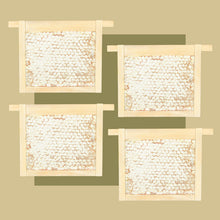 Load image into Gallery viewer, MalfroysGold300gWildHoneycombPolyfloraX4