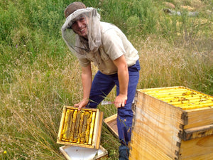 Malfroy's Gold Tim Malfroy Mudgee Field Days