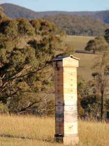 Malfroy's Gold Warré Hive Yellow Box Honeyflow