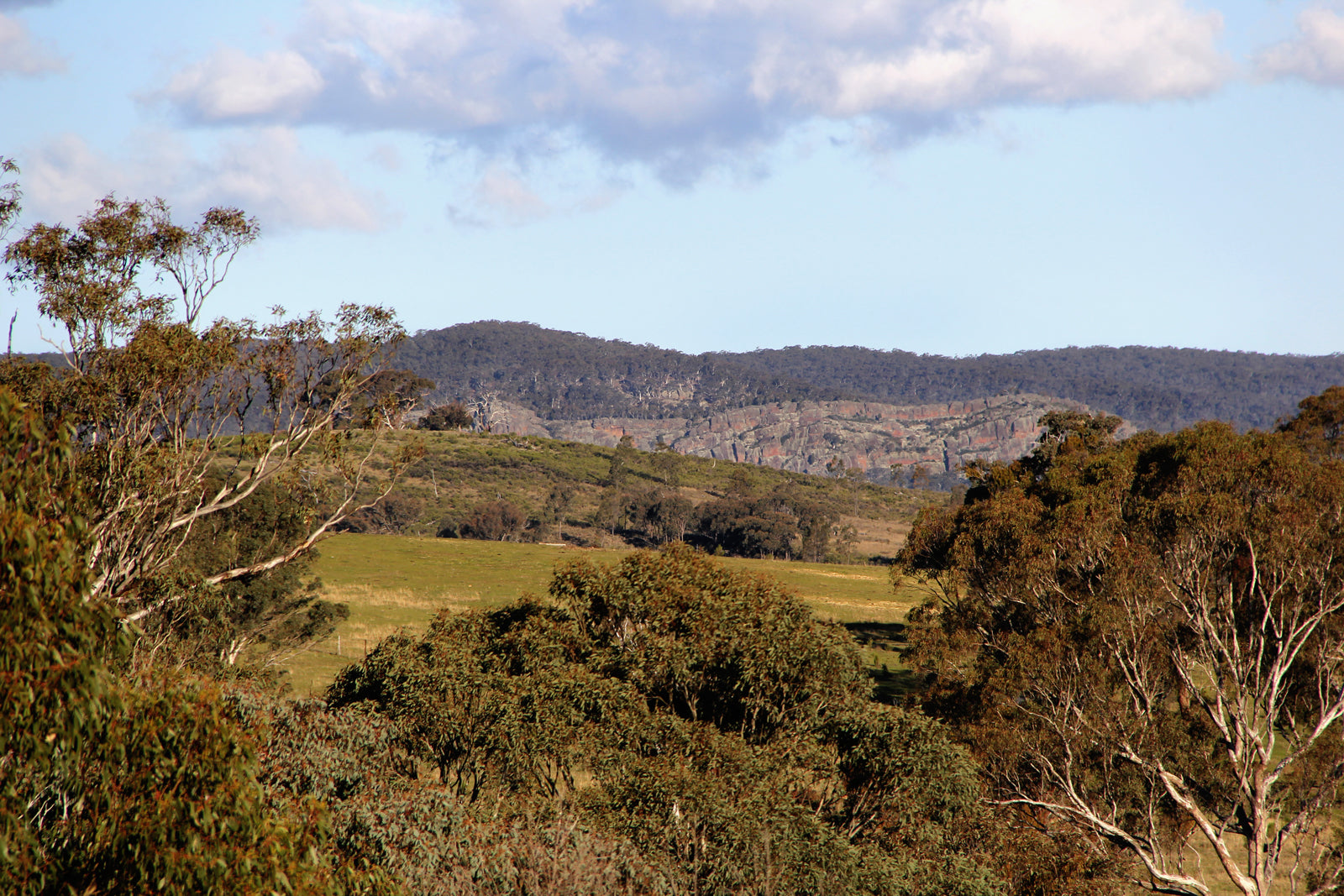 Malfroy's Gold Central West Ranges
