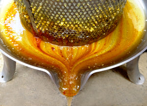 Malfroy's Gold Pressing Wild Honeycomb Frames Wild Honey