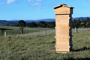 Malfroy's Gold Custom Australia Warré Hive