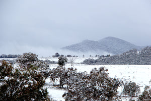 Malfroy's Gold Central Tablelands Ranges in Snow