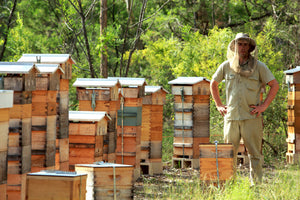 Malfroy's Gold Tim Warré Apiary Blue Mountains Eric Tourneret