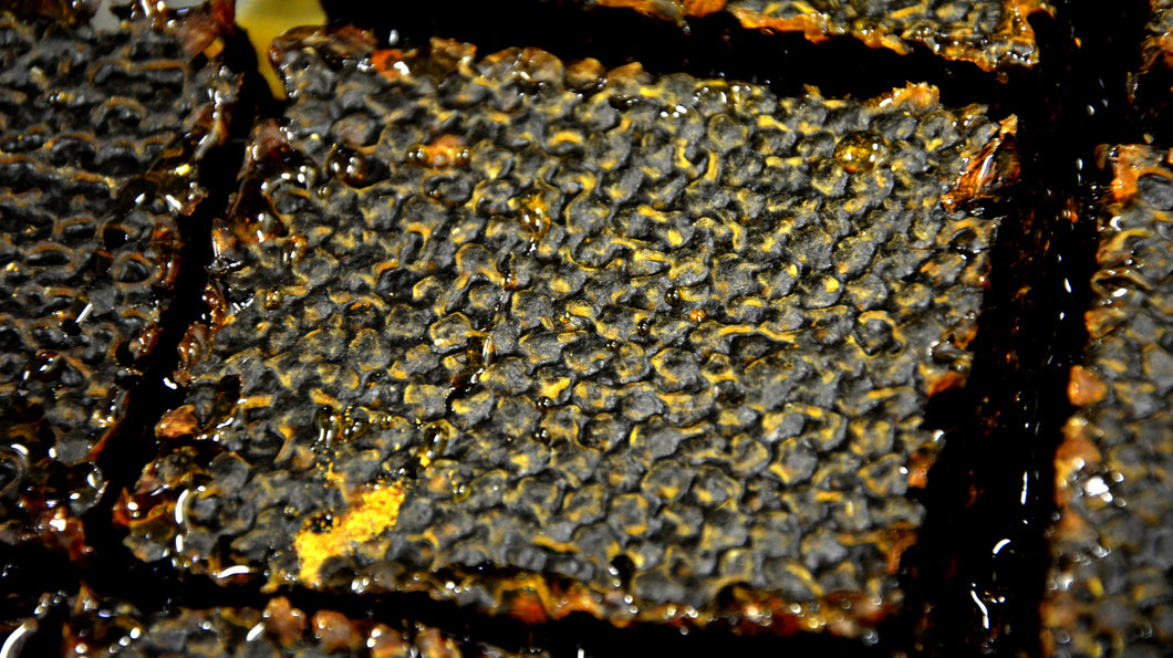Malfroy's Gold Post Brood Wild Honeycomb Processing