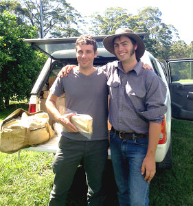 Tim Malfroy  ad Julien Pouteau Mid Blue Mountains Apiary