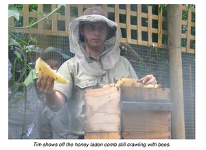 Tim Malfroy Natural Beekeeping Courses