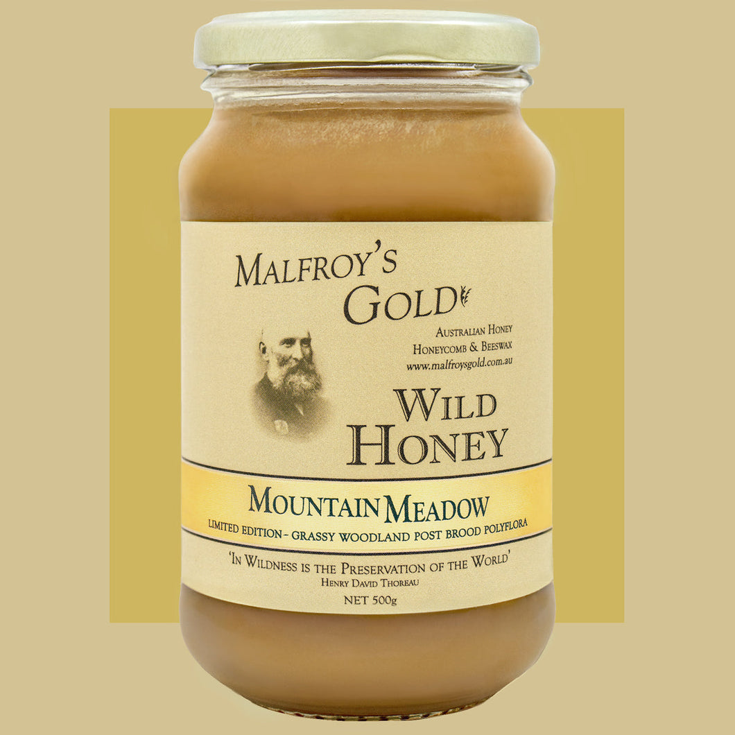 MalfroysGold500gWildHoneyMixedx2LEFG
